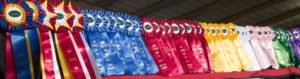 May Clinic and Schooling Show