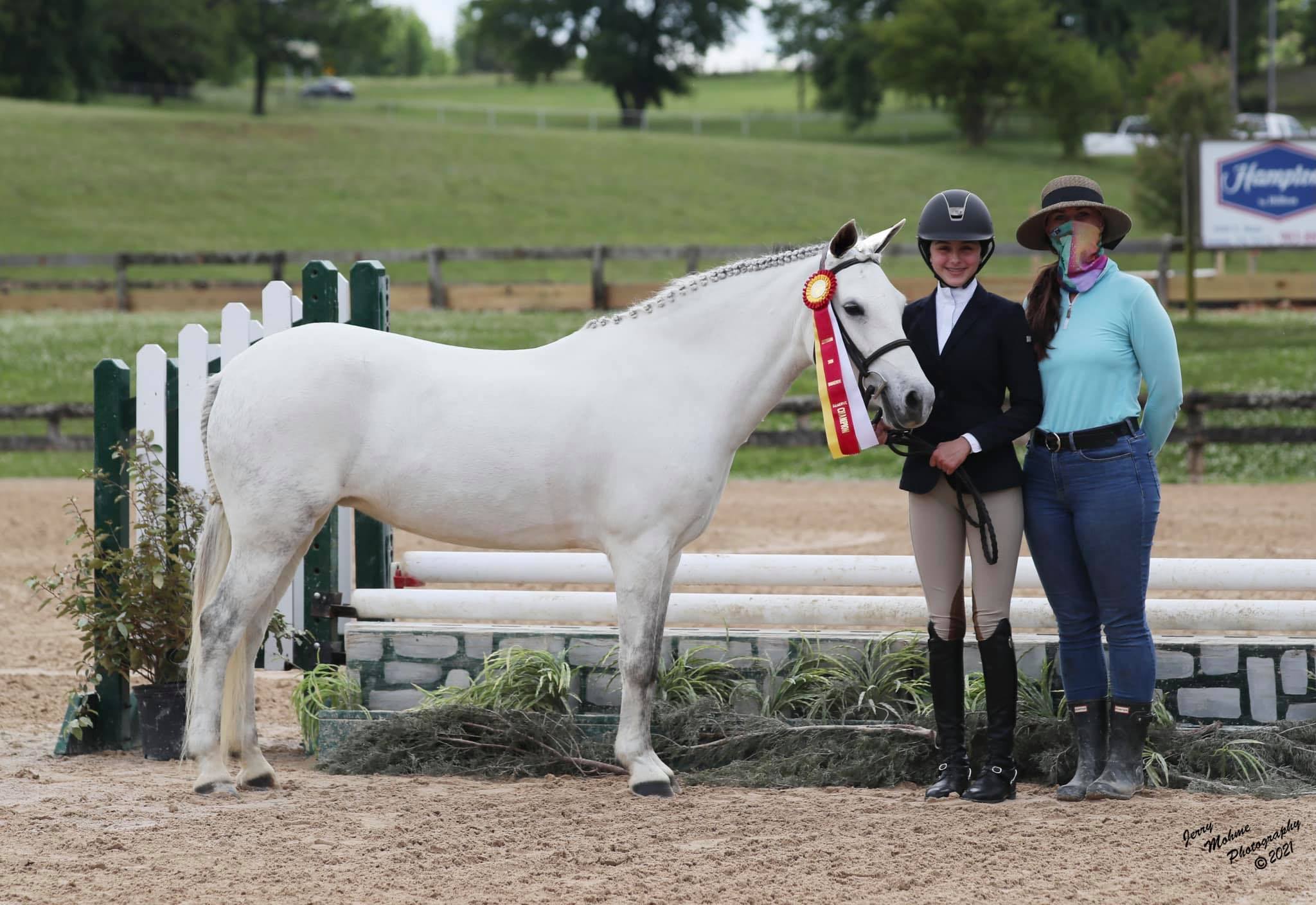 Merrylegs Blackjack Lane Equestrian