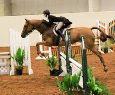 National Derby - Capone