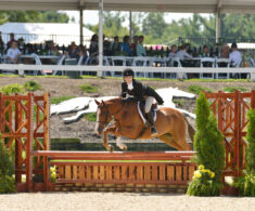 Pony Finals - Bambi - Medium Green Pony