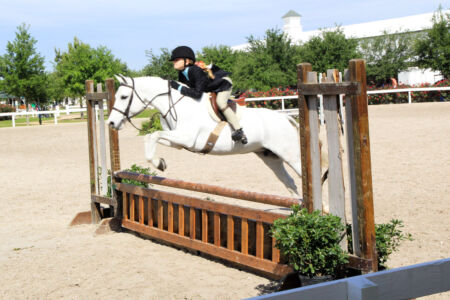 Ginger jump