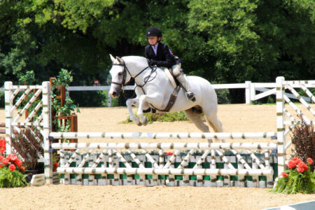 Ginger jump