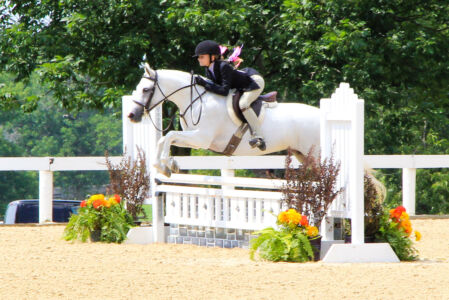 Ginger jump